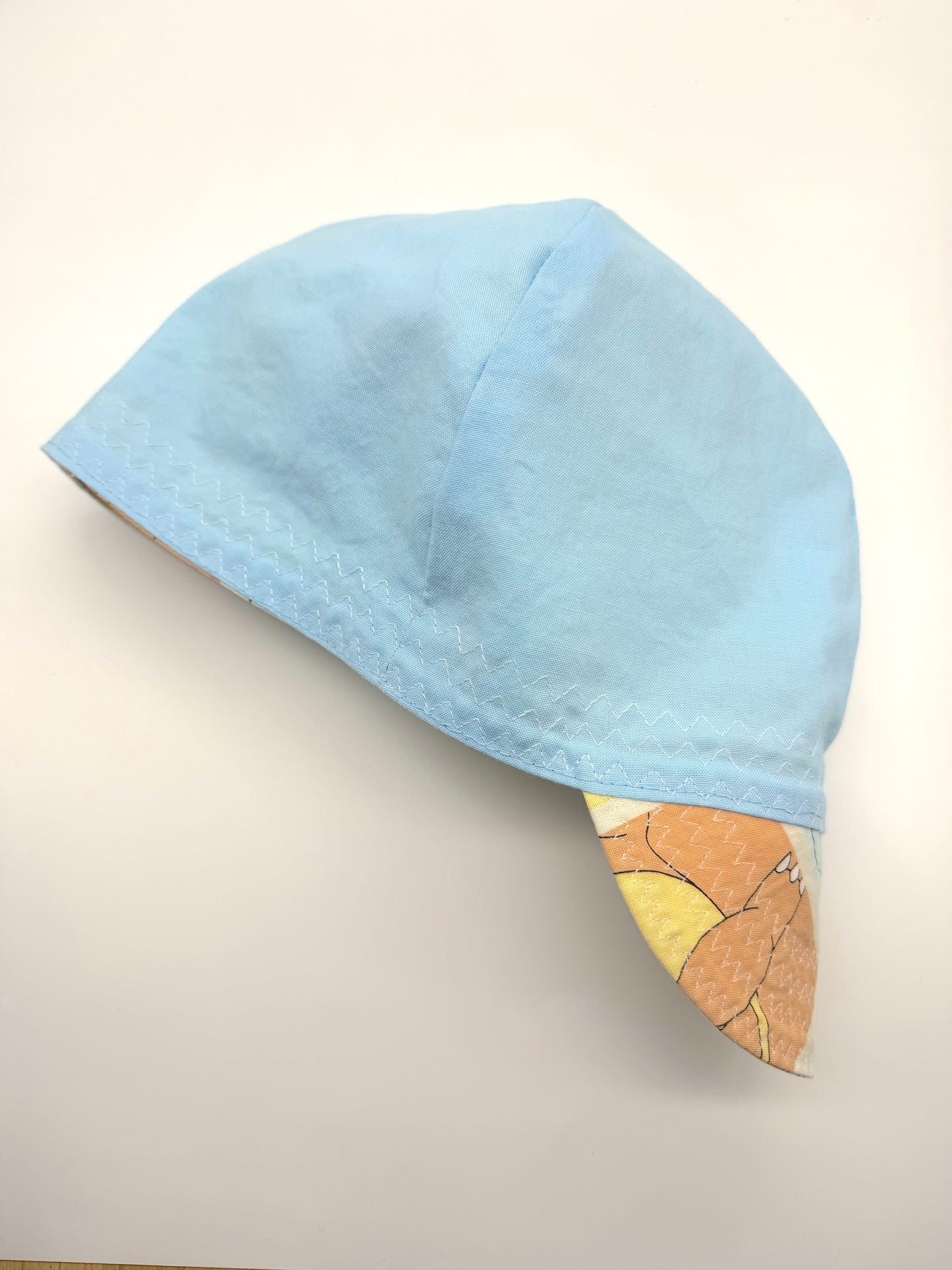 Pokemon /  Full Cap
